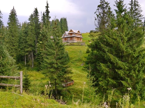 Wooden two-storey house in the shadow of green coniferous trees on a cloudy sky background