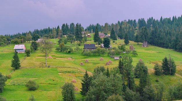 Small residential houses with yards in the background of green mountains with coniferous trees