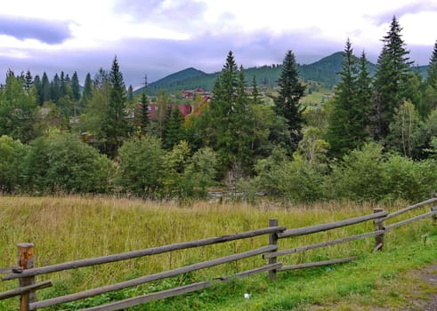 The pasture is protected from one side by a natural barrier in the form of trees, and on the other hand by a wooden fence