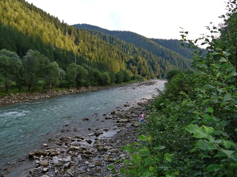 Beautiful and striking river in thickets of bushes and trees at the foot of the majestic mountain