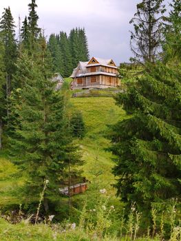 rural wooden house in 2 floors on the slope between green spruces