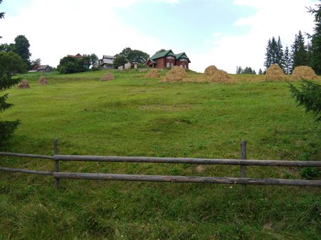 a wooden fence of a homestead with dried and collected grass behind it