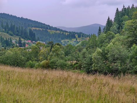 A beautiful landscape of nature in a mountainous area with a small village lying among trees and grasses.