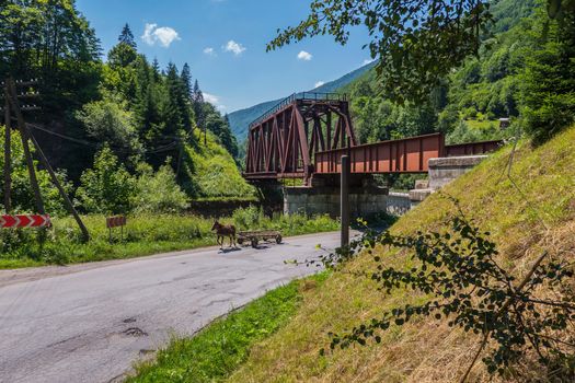 horse carriage passing under a bridge on the road near the forest