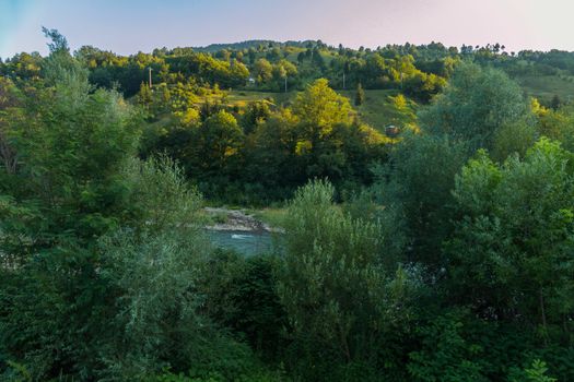 mountain fast river with low banks running between green trees