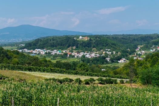 The meadow with aromatic herbs smoothly turning into bushes and trees gently swept the small village
