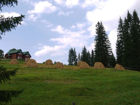 haystacks near the fir trees and a country house against the background of clouds