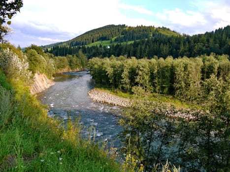 the rapid flow of a mountain river carries water into the valley, which touches the stone forming a white foam
