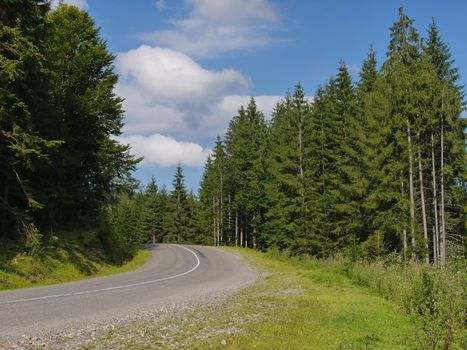 turn left on a forest asphalt road along green pines under a blue cloudy sky. place of rest, tourism, picnic