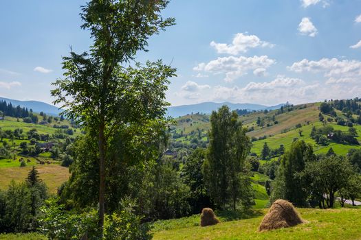 Hay stacks on the slope of the green mountain against the backdrop of a small rural village with pretty houses