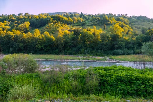 Beautiful scenery with a small fast river flowing between the shores with thick green vegetation bushes with herbs.