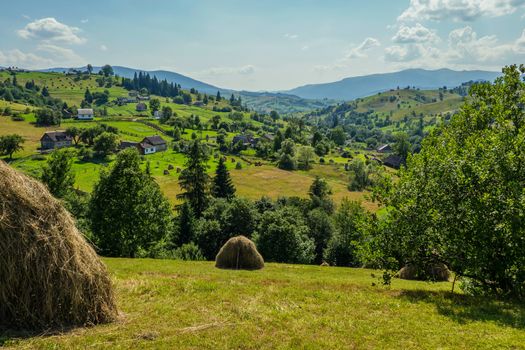 Two stacks of dry, yellow, fragrant hay stand on the green lawn