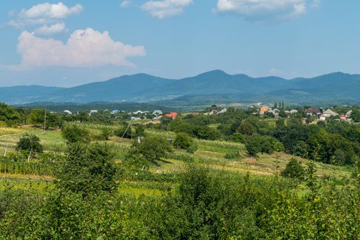 The greenery of the trees, smoothly passing into the blue of the high mountains and into the white-blue sky