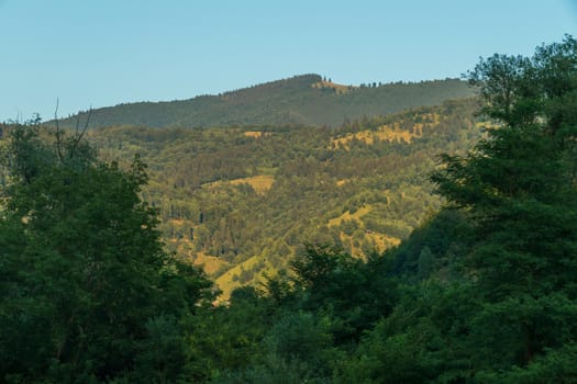 Slopes of the mountains covered with green forest. Beautiful nature for tourists who want to relax and gain strength.
