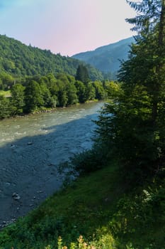 A beautiful view from the green coast to a shallow river with a bed strewn with stones. Flowing between trees and mountains.
