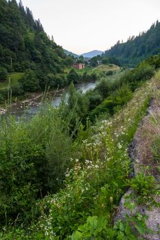 under the cloudless sky, the green banks of a mountain river with a house in the distance, overgrown with tall trees, grass and field flowers. place for recreation, travel, picnic