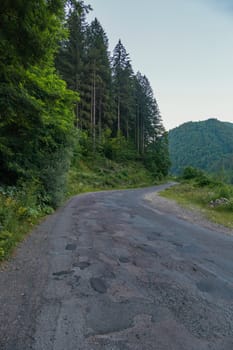 asphalt road walking along the slope next to the pine forest against the backdrop of a mountain in the distance