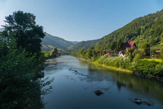 River flowing through thickets of green thickets. Paradise for the hunter