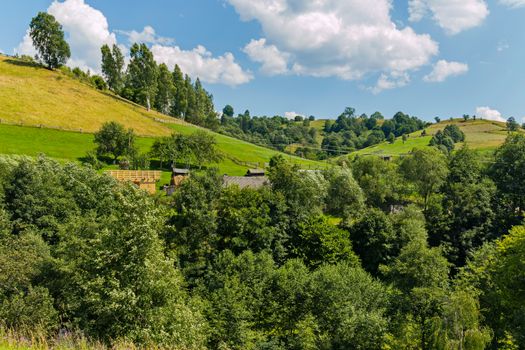 A huge number of trees are located at the slope of a beautiful green mountain hill
