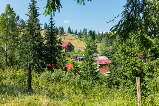 A view from the glade overgrown with grass to houses standing on a slope with dry hay against the background of the sky and the tops of trees.