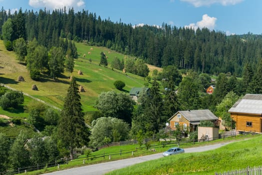 Two one-story houses on the edge of a coniferous forest