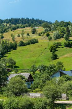 Green mountain slope with trees, leading to small cozy rural houses