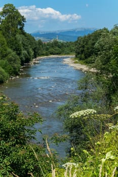 Flowering wildflowers against the blue river, green trees and high mountains