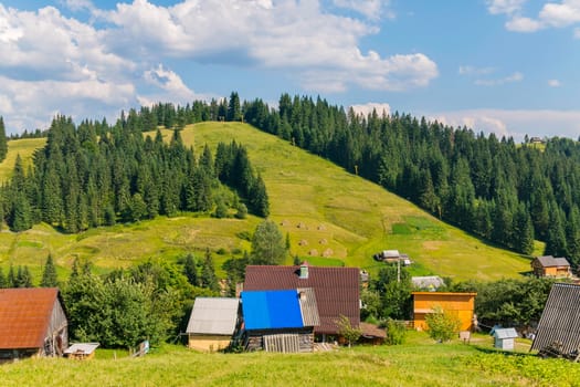 Dark green pine trees descend the grassy hills directly to the village