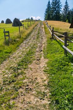 a distant horizon line and trailing fences of farmland along the road