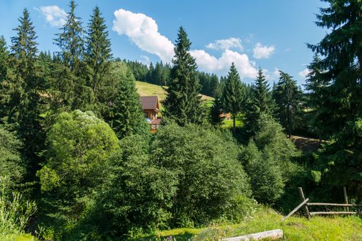 Beautiful cottage from a log house in the shade of green coniferous trees on the mountainside. A place for family rest