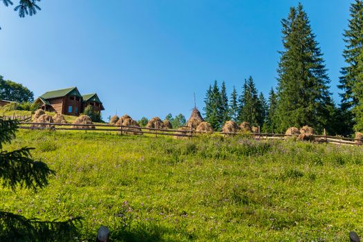 A large number of stacks with mown grass near the chic wooden villa