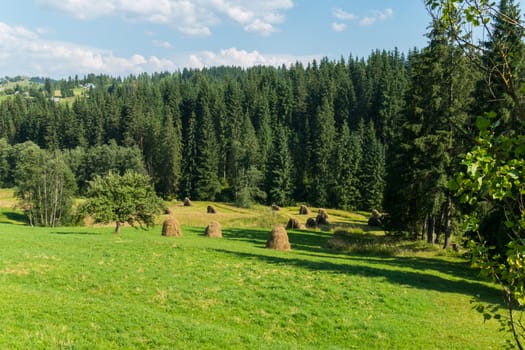 haystacks in a clearing in the middle of the forest