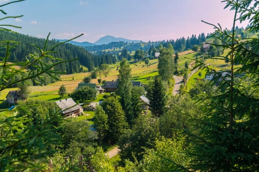 Carpathian village with high fir trees in the foreground