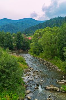 A lot of stones lying in a shallow river impede its flow