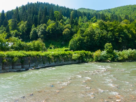 Swift mountain river against a background of steep slope with green trees and blue sky