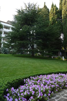 Ideally, evenly mown lawn with a large tree and a flower bed surrounding it