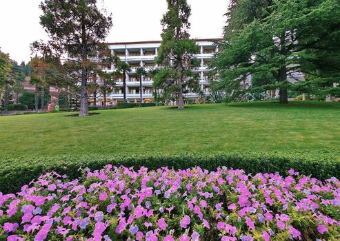 flowerbed with soft pink and purple flowers in front of the white building of the hotel, recreation center or sanatorium with balconies on the background of high fir trees, green lawn and clear sky