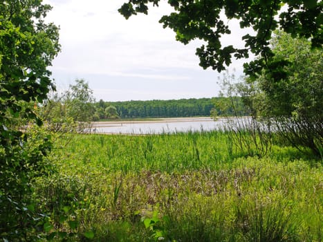 water of a natural reservoir in the distance near a green and dense forest