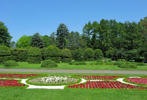 against a blue sky, a beautiful well-groomed park with figured shrubs, decorative flower beds and tall green trees