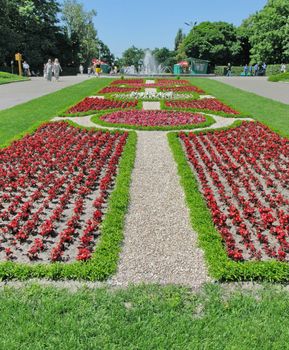 arabesque flower bed of red begonias and green grass on the square near the fountain