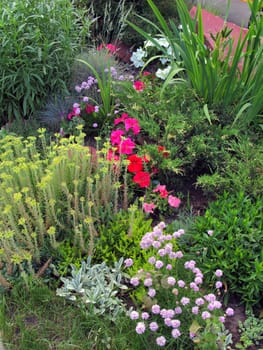 A flower bed with a lot of colorful flowers and decorative green shrubs