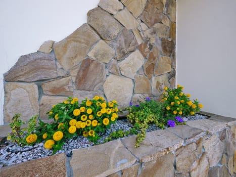 small but beautiful flower bushes between decorative stones