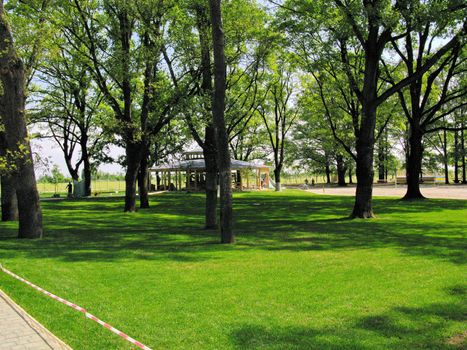 Beautiful gazebo in a park with a lawn and tall trees. You can sit, breathe air, drink a soft drink