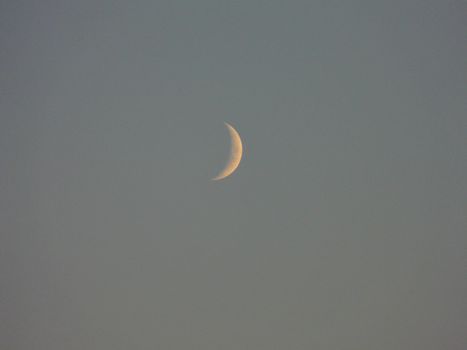 lonely young misty smoke on a violet sky after sunset