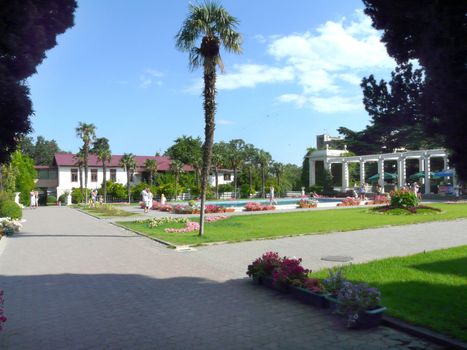 Plexus alley of stone tile between colorful flowerbeds. And a lonely palm tree in the middle