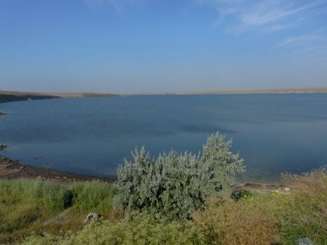 covered with grass and low trees of the shore of the lake with quiet water against the blue cloudless sky. resting place, picnic and fishing