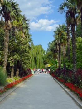 High palm trees in the park growing along the walkway with beautiful flowers and tourists in the distance nafone green trees.