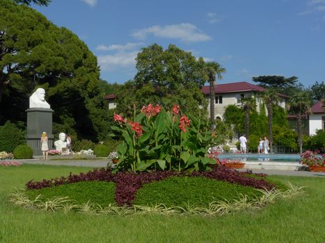 a charming designer flowerbed with beautiful flowers and growing palm trees far away on the edge of the pool