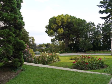 park for relaxation with fresh green lawns and flower beds with flowers