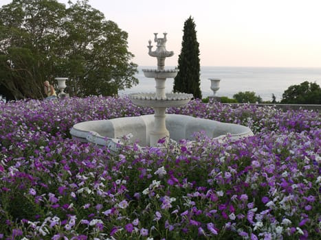 The flower bed is densely planted with white and purple petuniums around the idle fountain on the beach